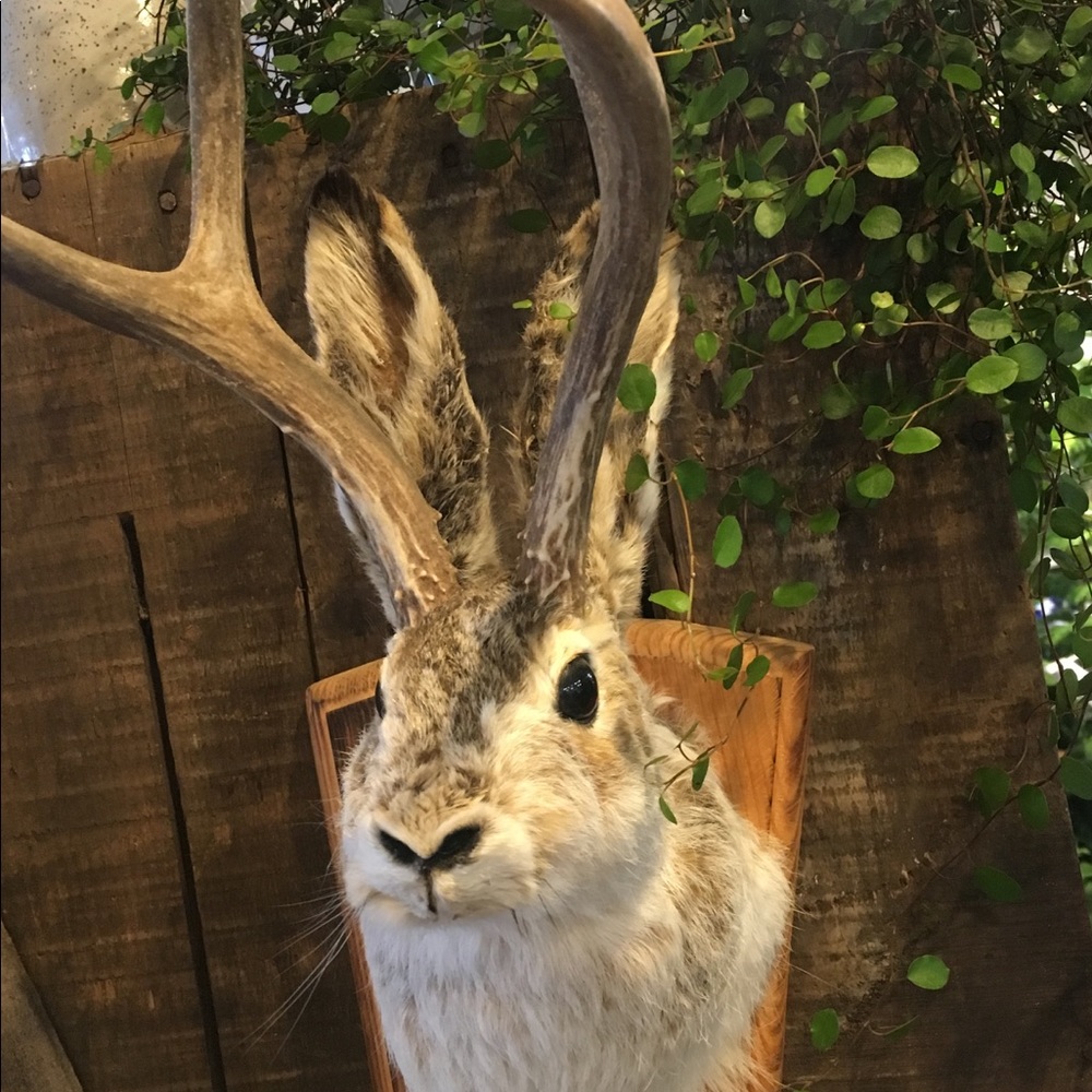 Meet your Posher, P